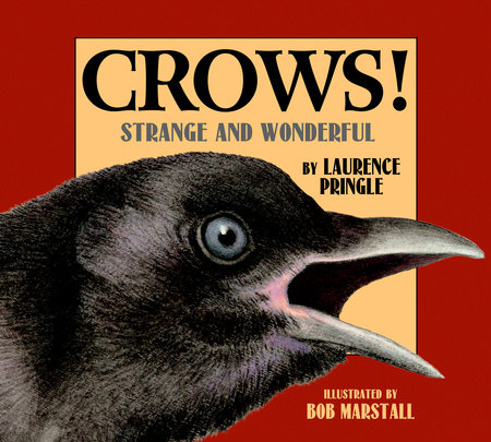 Crows! By Laurence Pringle; Illustrated by Bob Marstall
