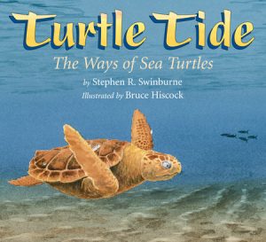 Turtle Tide By Stephen R. Swinburne; Illustrated by Bruce Hiscock
