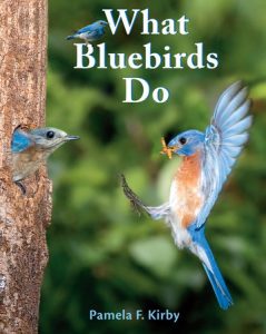 What Bluebirds Do By Pamela F. Kirby