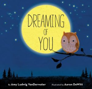 Dreaming of You By Amy Ludwig VanDerwater; Illustrated by Aaron DeWitt